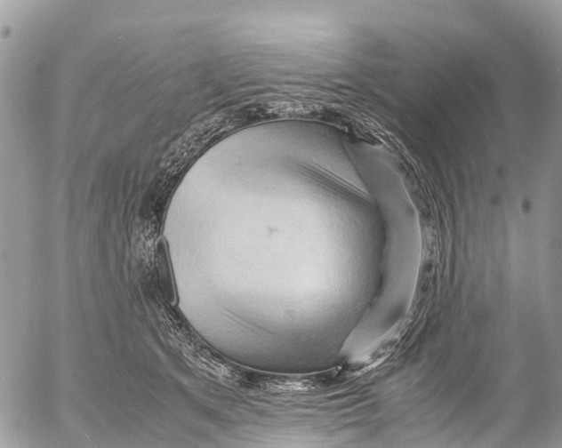 X0000053090513200508081314