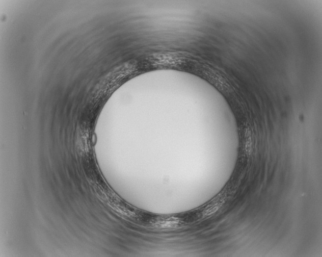 X0000053090514200508081314