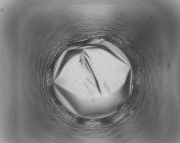 X0000053090515200508081314