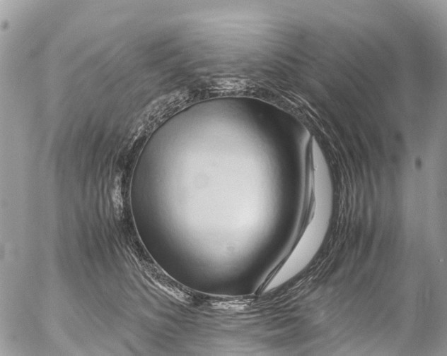 X0000053090516200508081314