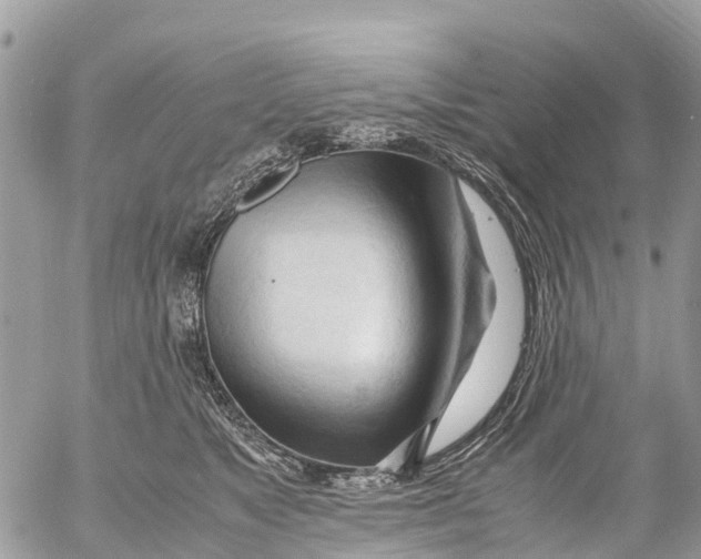 X0000053090517200508081314