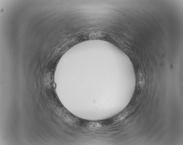 X0000053090519200508081314