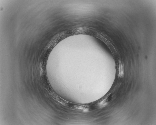 X0000053090520200508081314