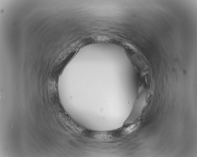 X0000053090521200508081314