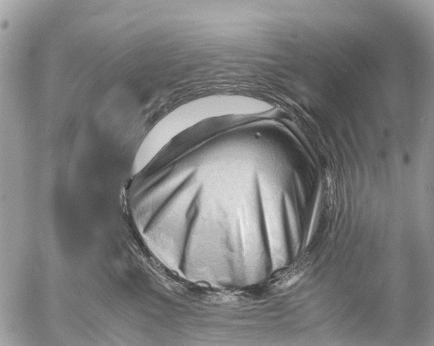 X0000053090523200508081314