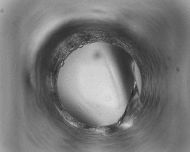 X0000053090524200508081314