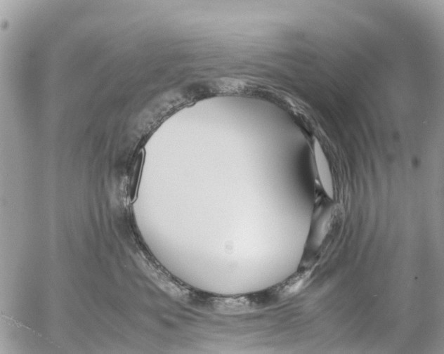 X0000053090525200508081314