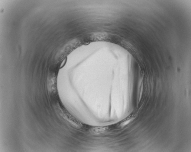 X0000053090526200508081314