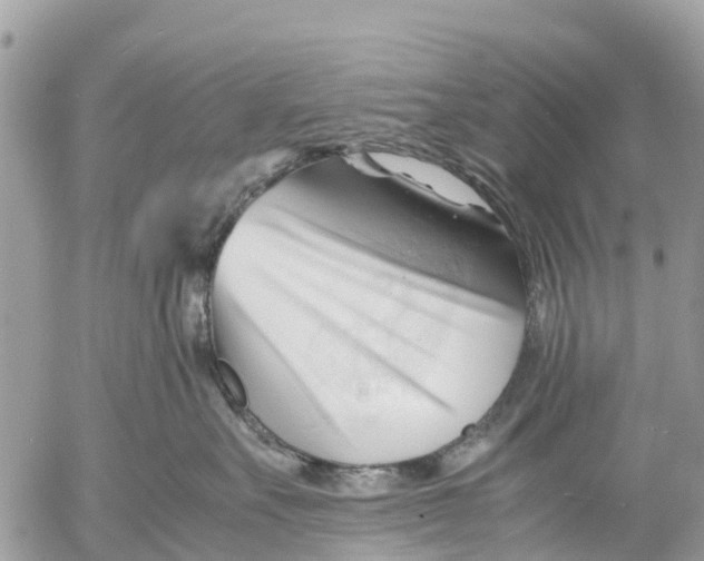 X0000053090527200508081314