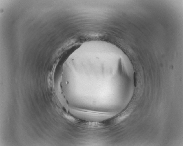 X0000053090528200508081314