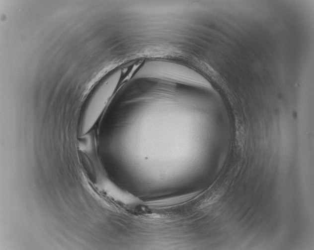 X0000053090530200508081313