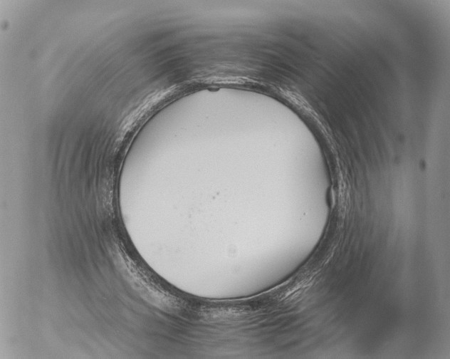 X0000053090533200508081313