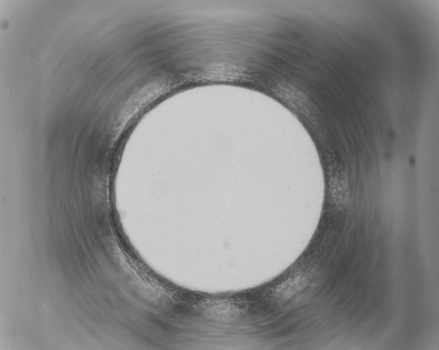 X0000053090534200508081313