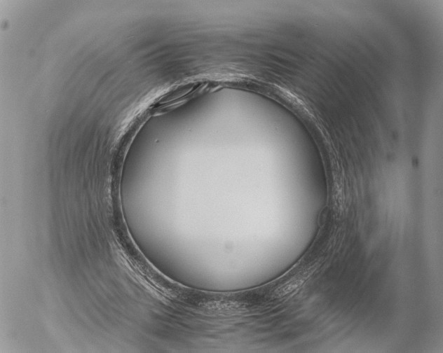 X0000053090535200508081313