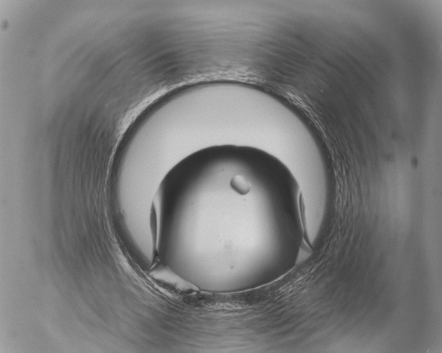 X0000053090536200508081313