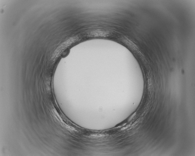 X0000053090537200508081313