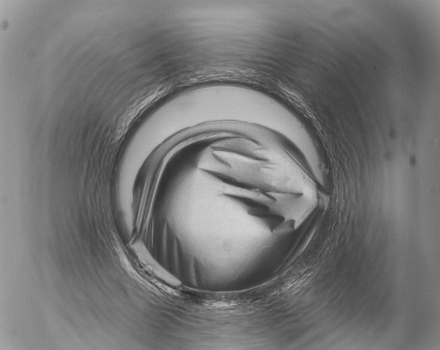 X0000053090538200508081313