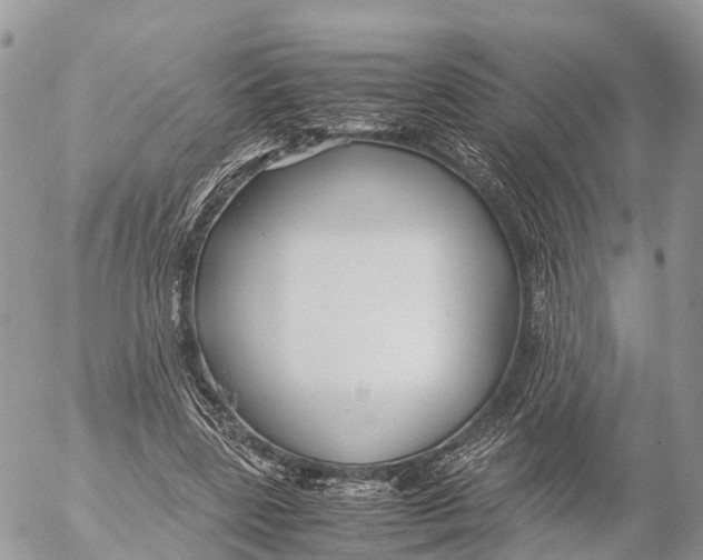 X0000053090539200508081313