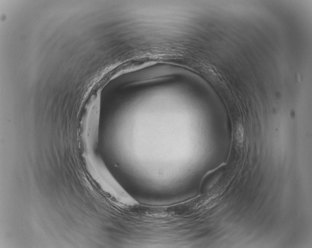 X0000053090540200508081313