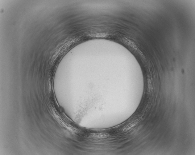 X0000053090541200508081313