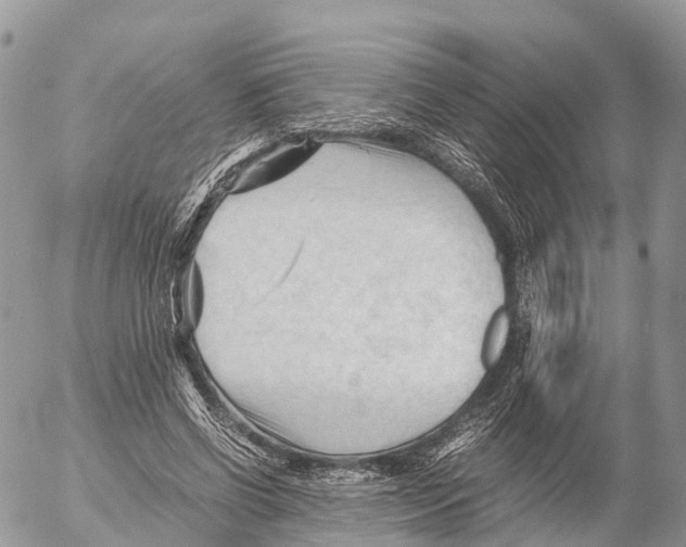 X0000053090542200508081313