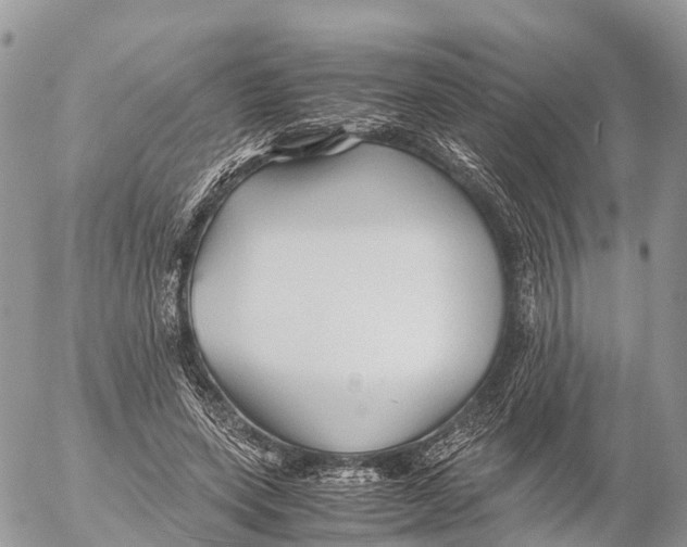 X0000053090543200508081313