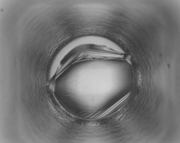 X0000053090546200508081313