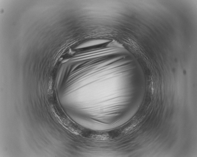 X0000053090548200508081313