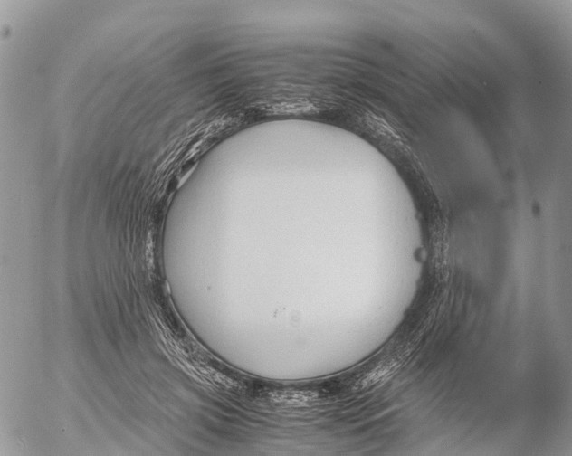 X0000053090549200508081313