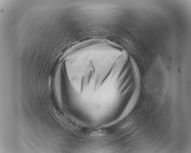 X0000053090550200508081313