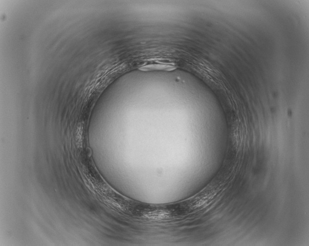 X0000053090551200508081313