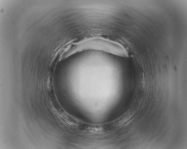 X0000053090552200508081313