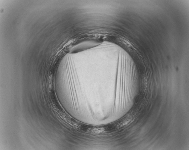 X0000053090554200508081313