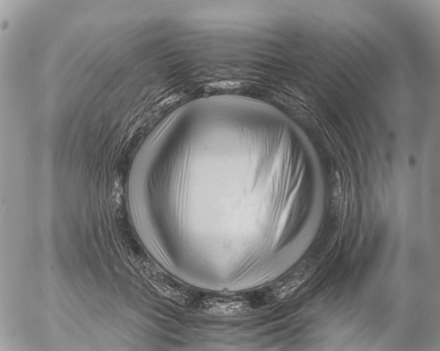 X0000053090555200508081313