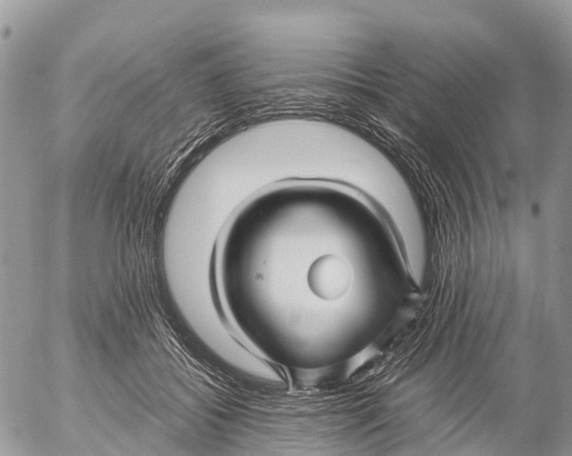 X0000053090556200508081313