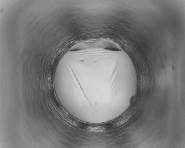 X0000053090557200508081313