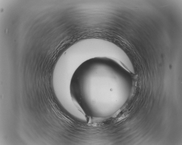 X0000053090558200508081313