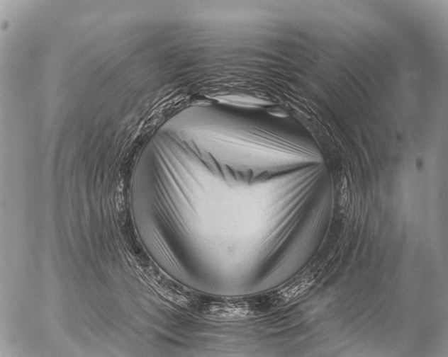 X0000053090559200508081313