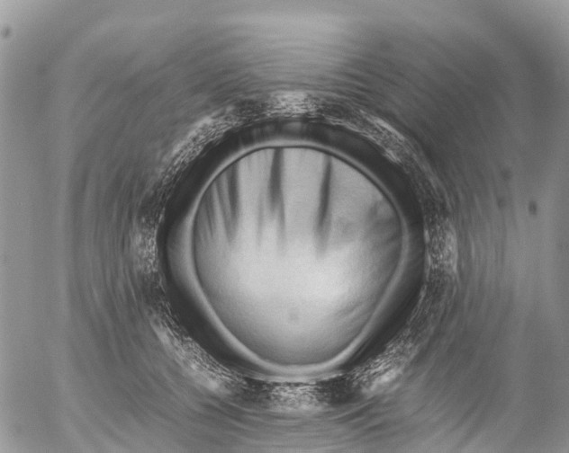 X0000053090560200508081313