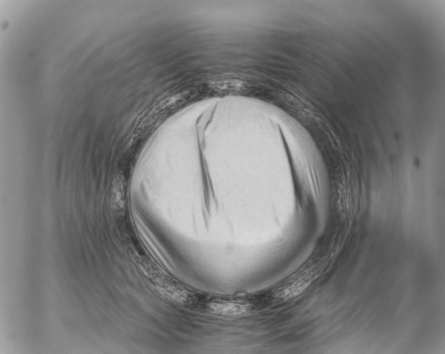 X0000053090561200508081314