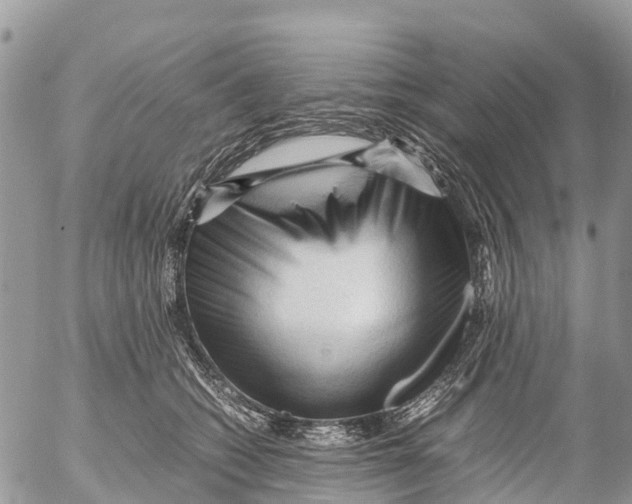 X0000053090562200508081314