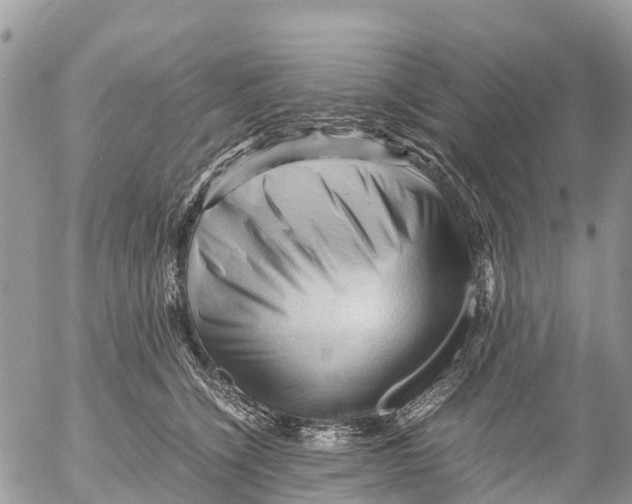 X0000053090564200508081314