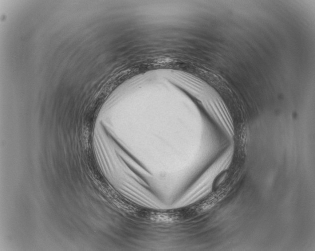 X0000053090565200508081314