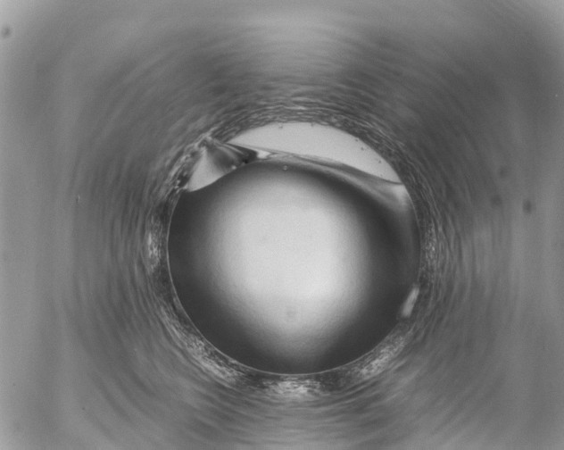 X0000053090566200508081314