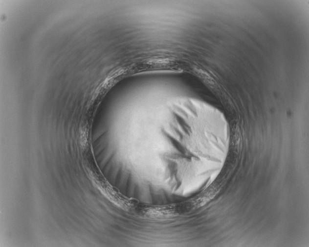 X0000053090568200508081314