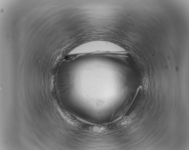 X0000053090570200508081314