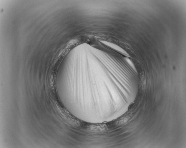 X0000053090571200508081314