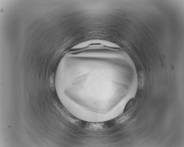 X0000053090573200508081314