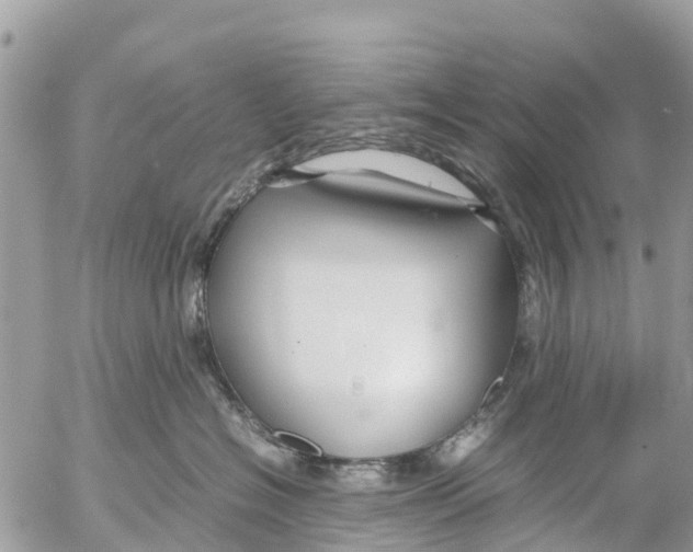 X0000053090574200508081314