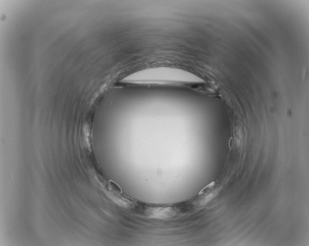 X0000053090575200508081314